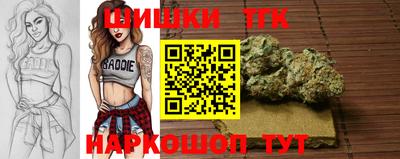 молекула духа Кингисепп