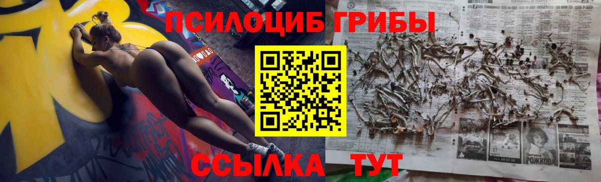 Галлюциногенные грибы ЛСД  Псилоцибиновые грибы Cubensis  цены наркотик  Чебоксары  Вход с VPN 